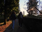 35 Dal Parco della Rocca il vicino campanile di San Pancrazio